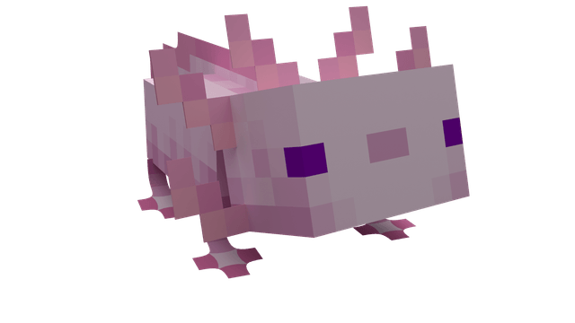 Axolotl
